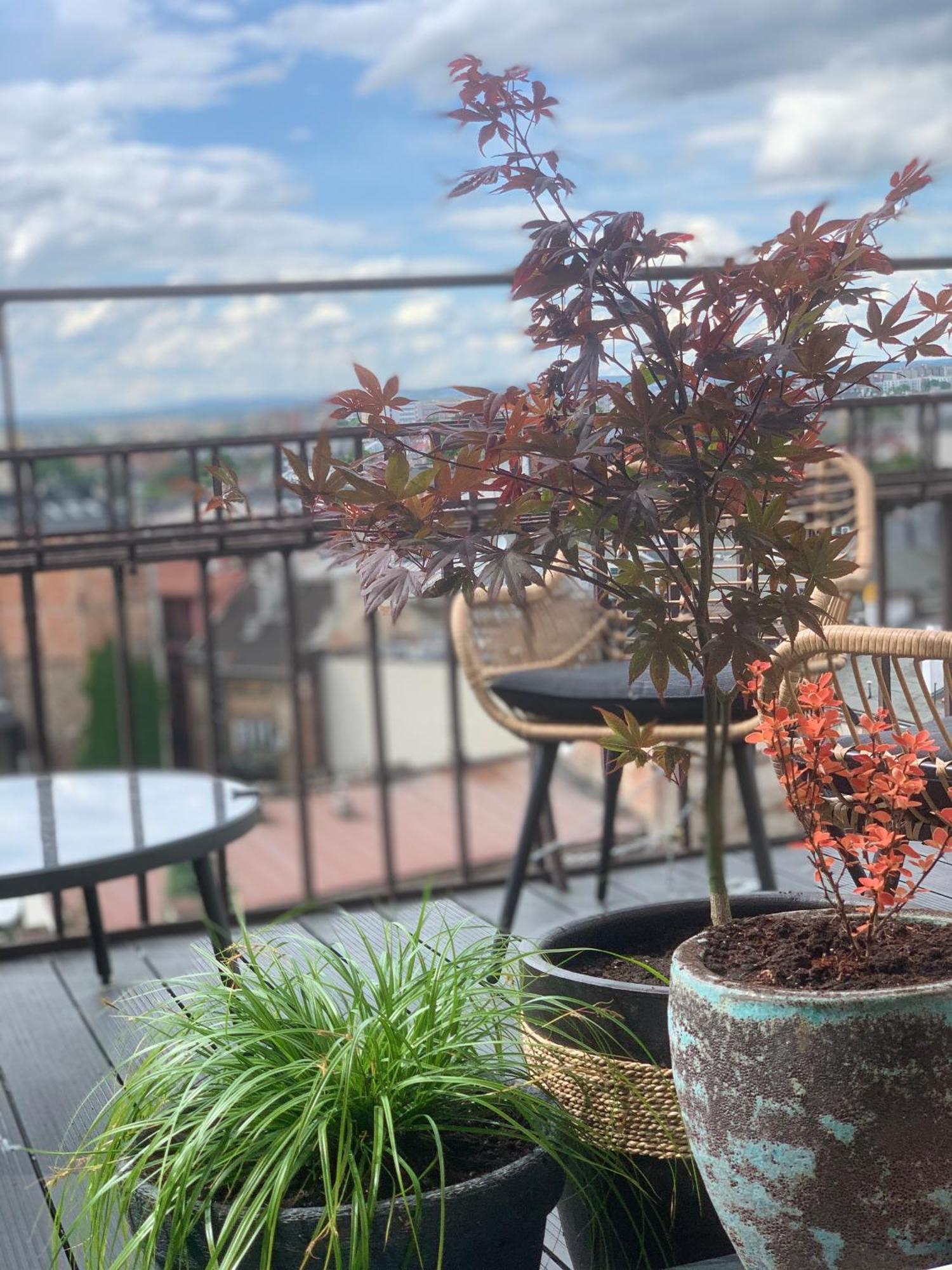 Appartement Loft21